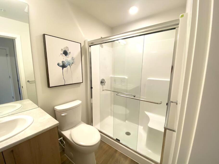 Lovely Brand New Apartment