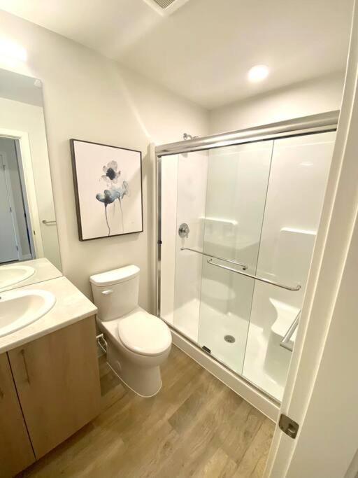 Lovely Brand New Apartment Sidney